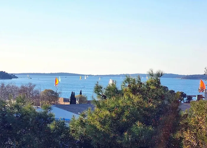 Sole Di *